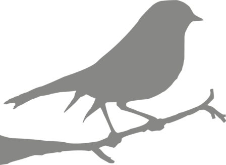 Muursticker vogel | Muur &amp; Stickers