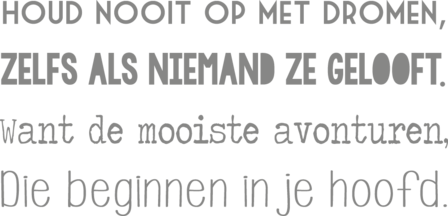 Muursticker houd nooit op met dromen | Muur &amp; Stickers