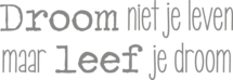 Muursticker 'Droom niet je leven, maar leef je droom'
