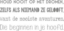 Muursticker 'Houd nooit op met dromen'