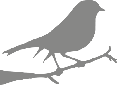 Muursticker vogel | Muur & Stickers